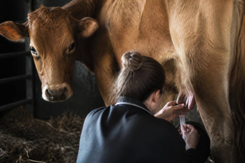 Colostrum avant accouchement : bienfaits, conseils et précautions pour le recueillir